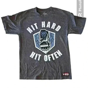 WWE Mens Gray Roman Reigns Hit Hard Hit Often Short Sleeve Crew Neck Tee M